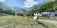 terrain à ARAGNOUET (65170)