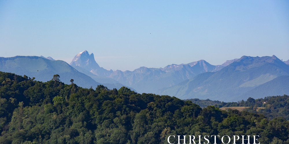 appartement à PAU (64000)