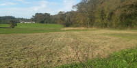 terrain à LOUBIENG (64300)