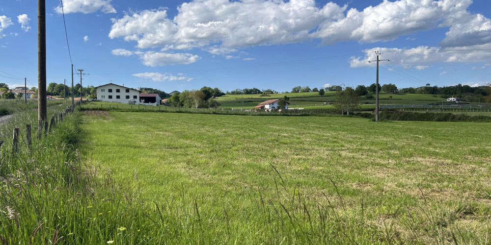 fond de commerce à IHOLDY (64640)