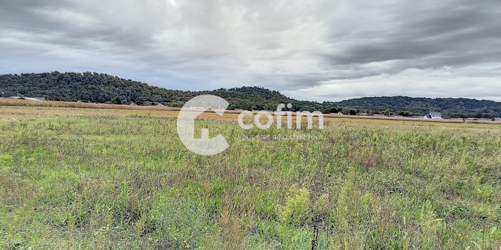 terrain à BORDES (64510)