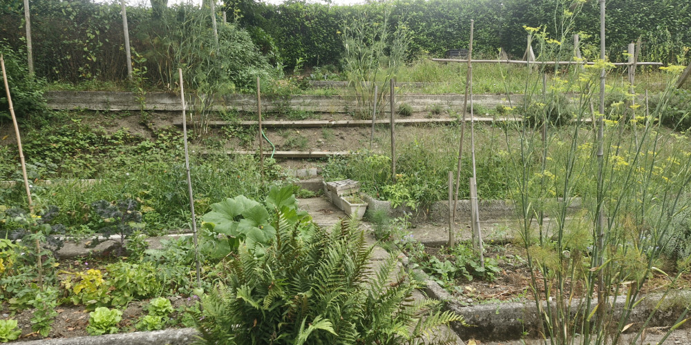 terrain à LOURDES (65100)