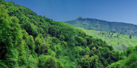 terrain à FERRIERES (65560)