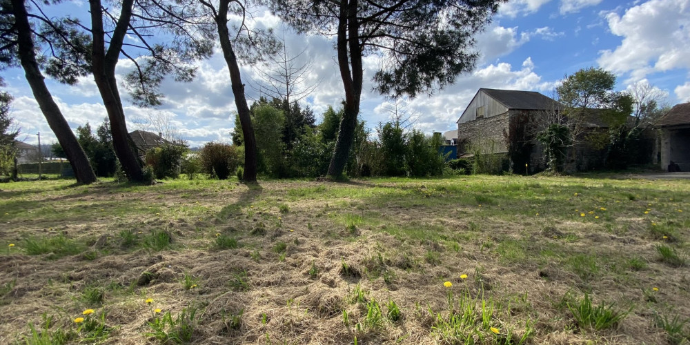 terrain à LONS (64140)