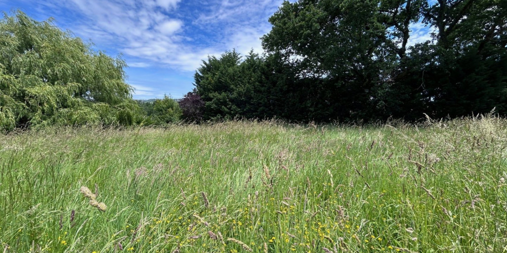 terrain à JATXOU (64480)