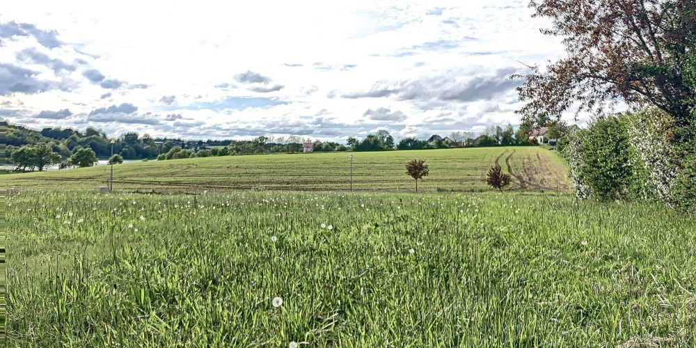 terrain à ARZACQ ARRAZIGUET (64410)