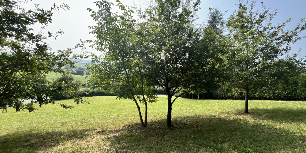 terrain à IRISSARRY (64780)