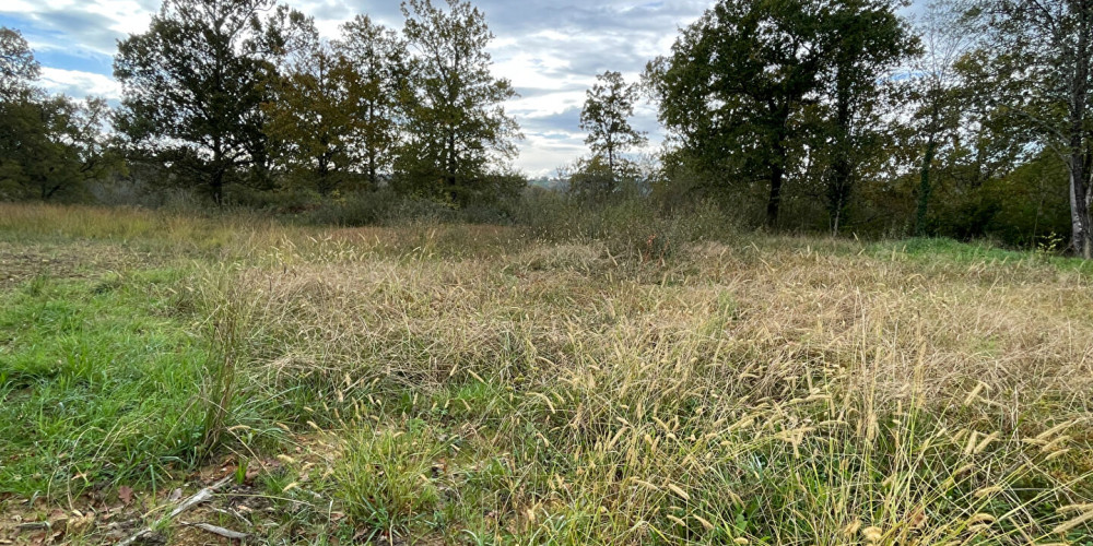 terrain à URCUIT (64990)