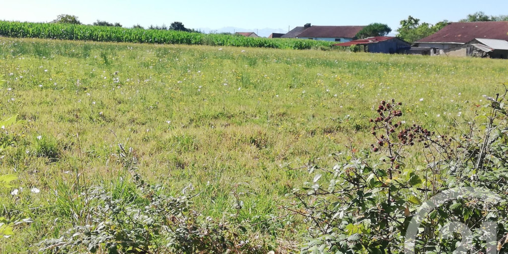 terrain à HAGETAUBIN (64370)