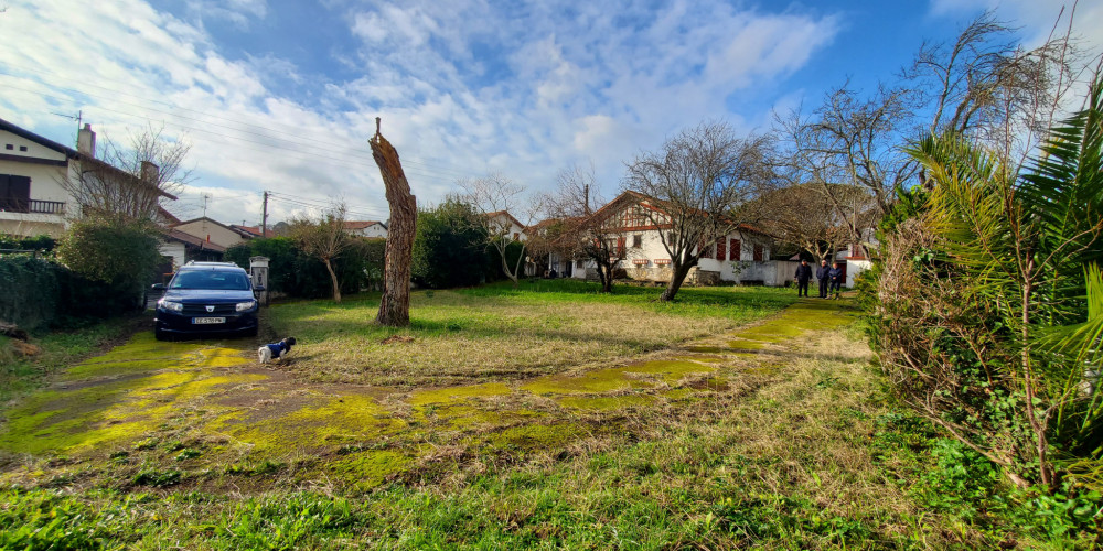 terrain à CIBOURE (64500)