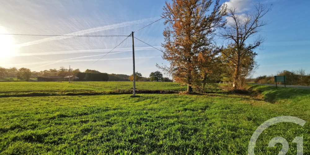 terrain à LACADEE (64300)