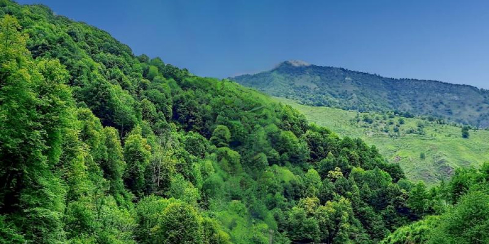 terrain à FERRIERES (65560)