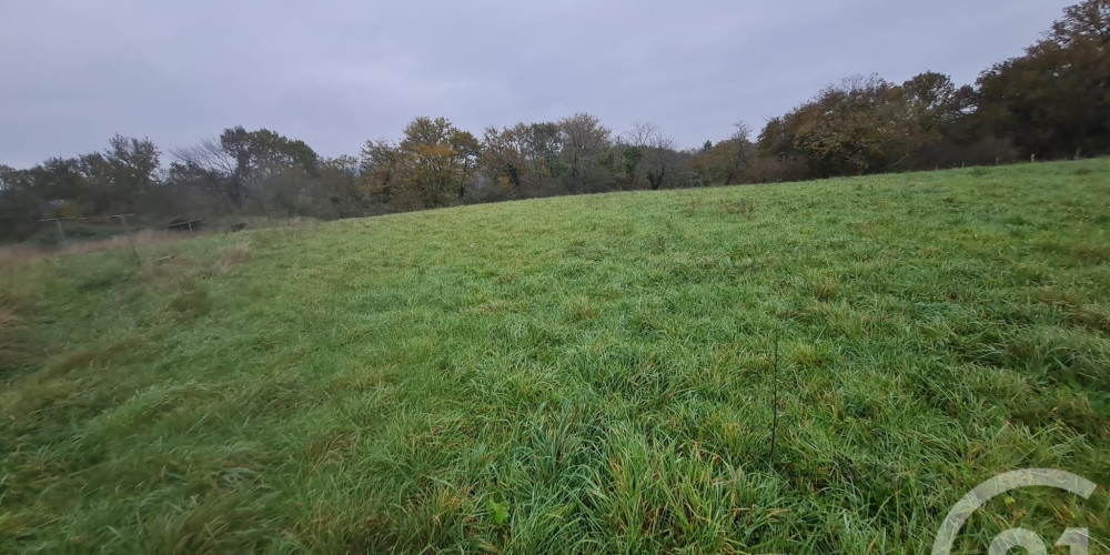 terrain à ST MEDARD (64370)