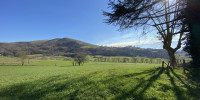 terrain à LACARRE (64220)