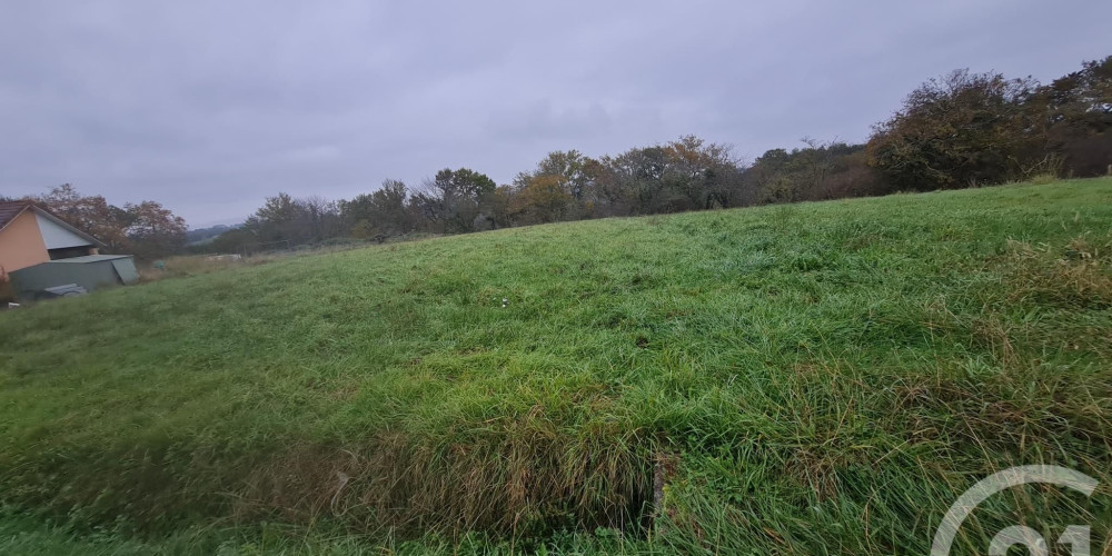 terrain à ST MEDARD (64370)