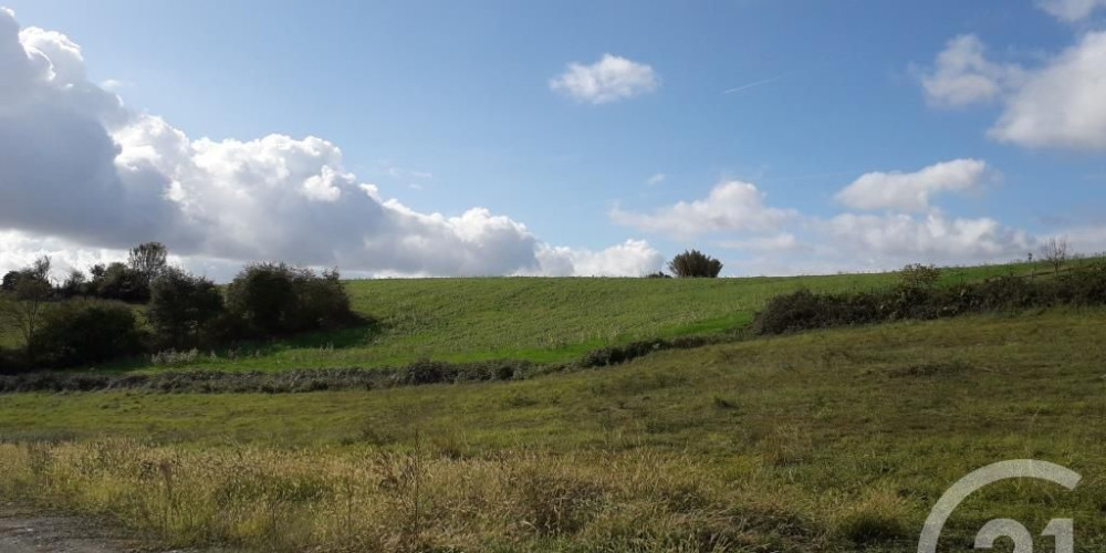 terrain à LABEYRIE (64300)