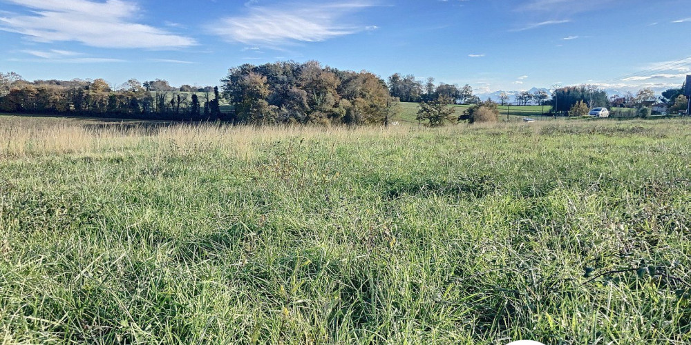 terrain à ARZACQ ARRAZIGUET (64410)