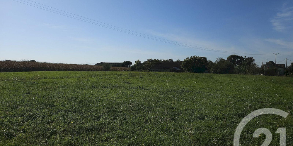 terrain à HAGETAUBIN (64370)