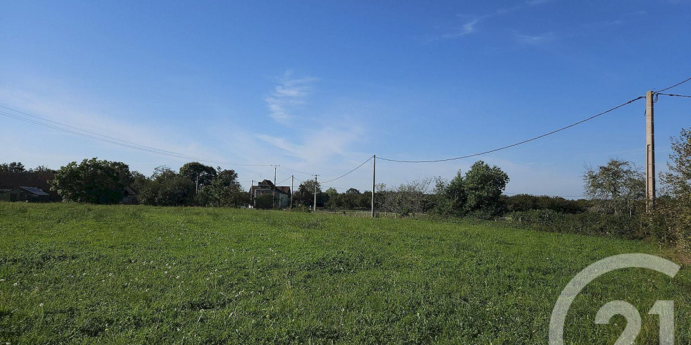 terrain à HAGETAUBIN (64370)