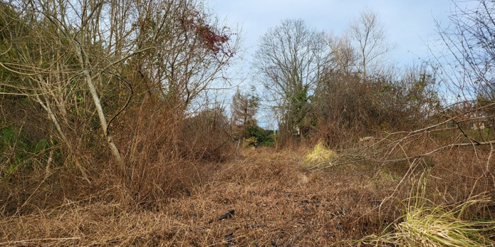 terrain à SALIES DE BEARN (64270)