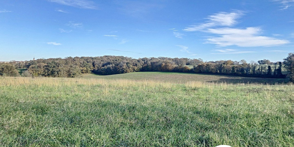 terrain à ARZACQ ARRAZIGUET (64410)