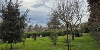 maison à SALIES DE BEARN (64270)