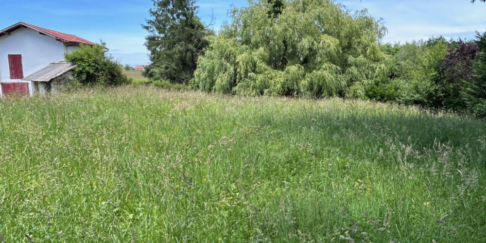 terrain à JATXOU (64480)