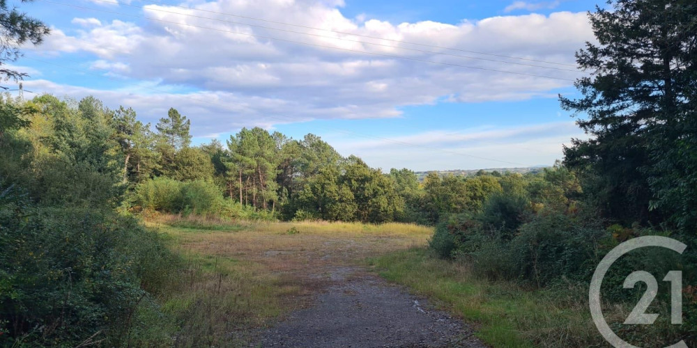 terrain à BONNUT (64300)