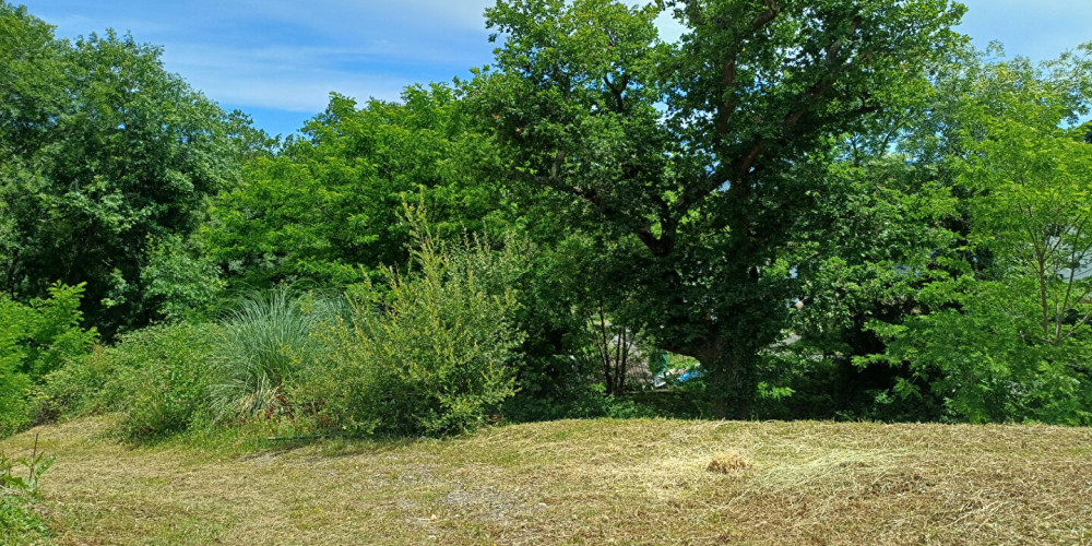 terrain à ST PEE SUR NIVELLE (64310)