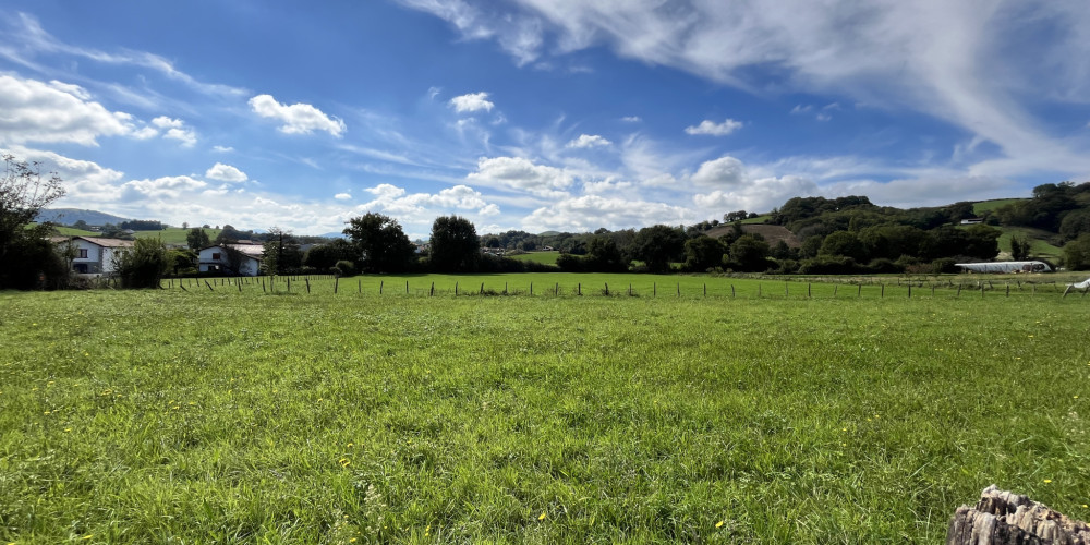 terrain à ARMENDARITS (64640)