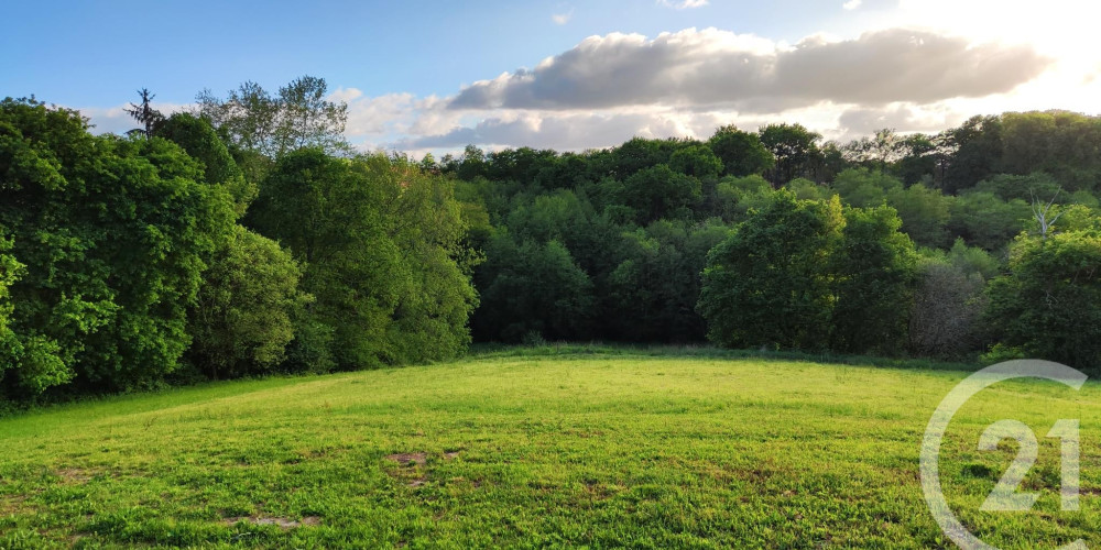 terrain à BONNUT (64300)