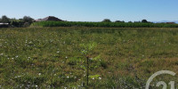 terrain à HAGETAUBIN (64370)