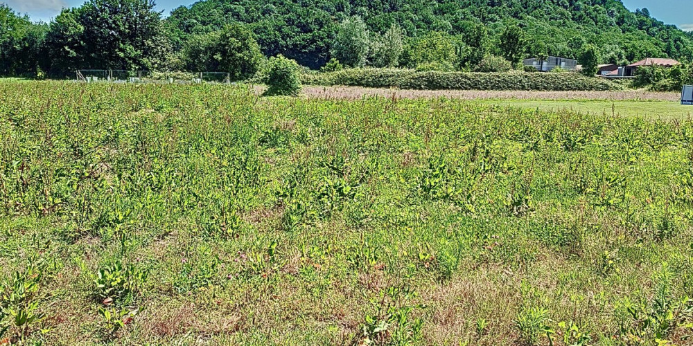 terrain à ASSAT (64510)