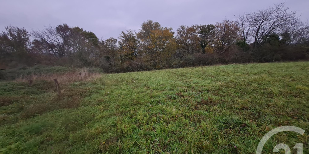 terrain à ST MEDARD (64370)