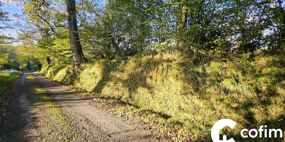 terrain à REBENACQ (64260)