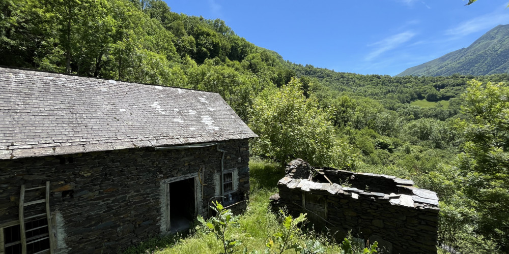 maison à VILLELONGUE (65260)