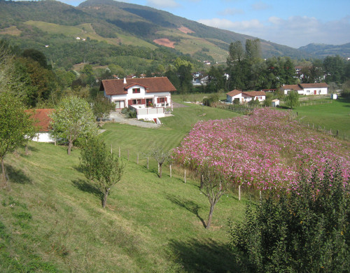 maison  ST JEAN PIED DE PORT